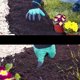thumbnail image 4 of 2 Pairs Waterproof Gardening Gloves with Claws - for Digging and Planting for Men and Women, 4 of 4