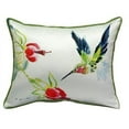 thumbnail image 2 of Betsy Drake ZP330 Betsys Hummingbird Throw Pillow- 20 x 24 in., 2 of 4
