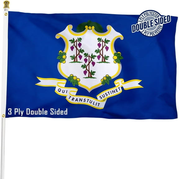 Connecticut State Flag Double Sided 3x5 ft, 3 Ply Polyester CT Flag with Vibrant Print/4 Rows Hemming/Brass Grommets