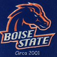 thumbnail image 2 of Winning Streak Sports 45061 Boise State Vertical Banner, 2 of 5