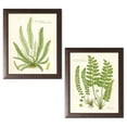 thumbnail image 2 of Gango Home Decor Vintage Fern I & II; Two 12x16in Art Prints in Brown Frames, 2 of 6