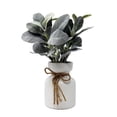 thumbnail image 3 of Mainstays Artificial Lamb's Ear in White Ceramic Pot (11.5"H x 7"W x 7"D), 3 of 5