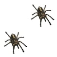 thumbnail image 4 of Kenally 1 uds/2 uds 3D pegatina de araña divertida cabeza de coche cola personalidad pegatinas de araña decoración DIY decoración Type2 NO2 Kenally CBP083044, 4 of 5