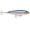 Blue Mullet, variant on Rapala Saltwater Skitter Walk 11 Redhead