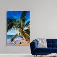 thumbnail image 3 of Great Big Canvas "Hawaii, Coconut Laying On A Sandy Tropical Beach Beneath A Palm Tree"  by Ed Robinson Black Olive Green   Wrapped Canvas Print Wall Artwork, 3 of 7