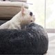 thumbnail image 3 of Cama para perro Bedsure Calming Donut, lavable para perros medianos y grandes, 3 of 6