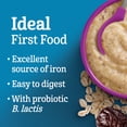 thumbnail image 3 of GERBER Stage 2 Oat Prune Baby Cereal, 3 of 7