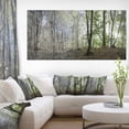 thumbnail image 1 of Green Morning in Forest Panorama - Landscape Canvas Art Print, 1 of 3