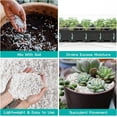 thumbnail image 4 of 6 Quarts Organic Horticultural Perlite for Plants Indoor- Natural Horticultural Soil Additive Conditioner Mix for Improves Drainage, Ventilation and Root Growth, 4 of 7