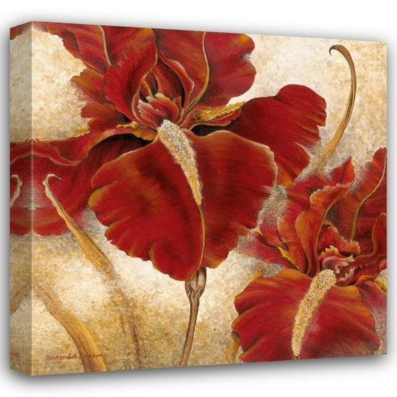 Richard Henson 20x20 Gallery Wrapped Canvas Wall Art Titled - Red Iris