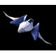 thumbnail image 3 of Star Fox Zero Nintendo Wii U ., 3 of 3