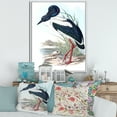 thumbnail image 2 of Designart 'Australian Vintage Birds I' Traditional Framed Canvas Wall Art Print, 2 of 5
