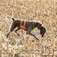 thumbnail image 3 of Browning Pet Vests, Hi Vis Safety Vests For Dogs, Safety Orange, Medium, Chest Protection Vest, 3 of 6