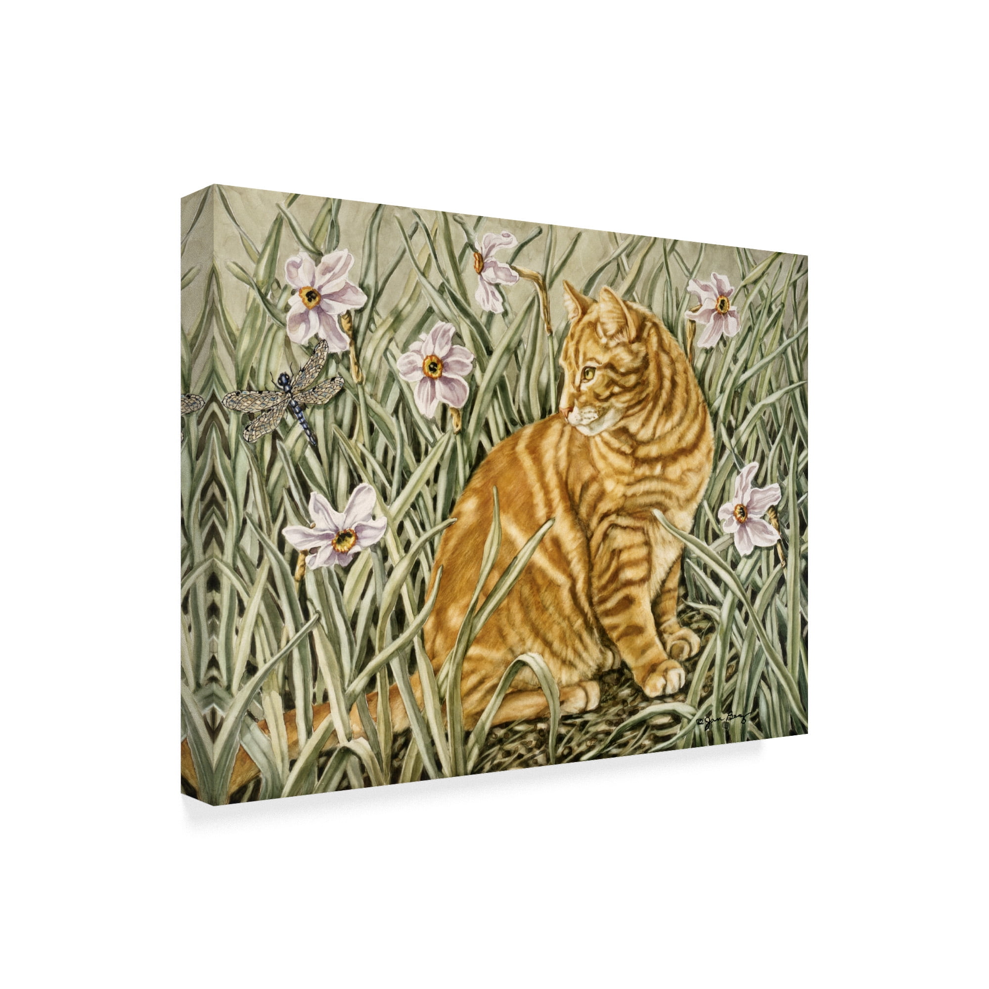 Trademark Fine Art 'To Catch A Dragonfly' Canvas Art by Jan Benz