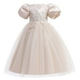thumbnail image 2 of DPTALR Robe pour Enfants Fille à Manches Courtes Robe de Princesse Robe à Queue Fleurie Jupe Robe, 2 of 5