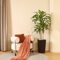 thumbnail image 6 of 6ft UV Resistant Artificial Dracaena Tree with Brown Tall Planter, Pre Potted Fake Plants for Indoor Outdoor Home Decor, Big Faux Tree Fake Plants for Office House Decor, 6 of 10