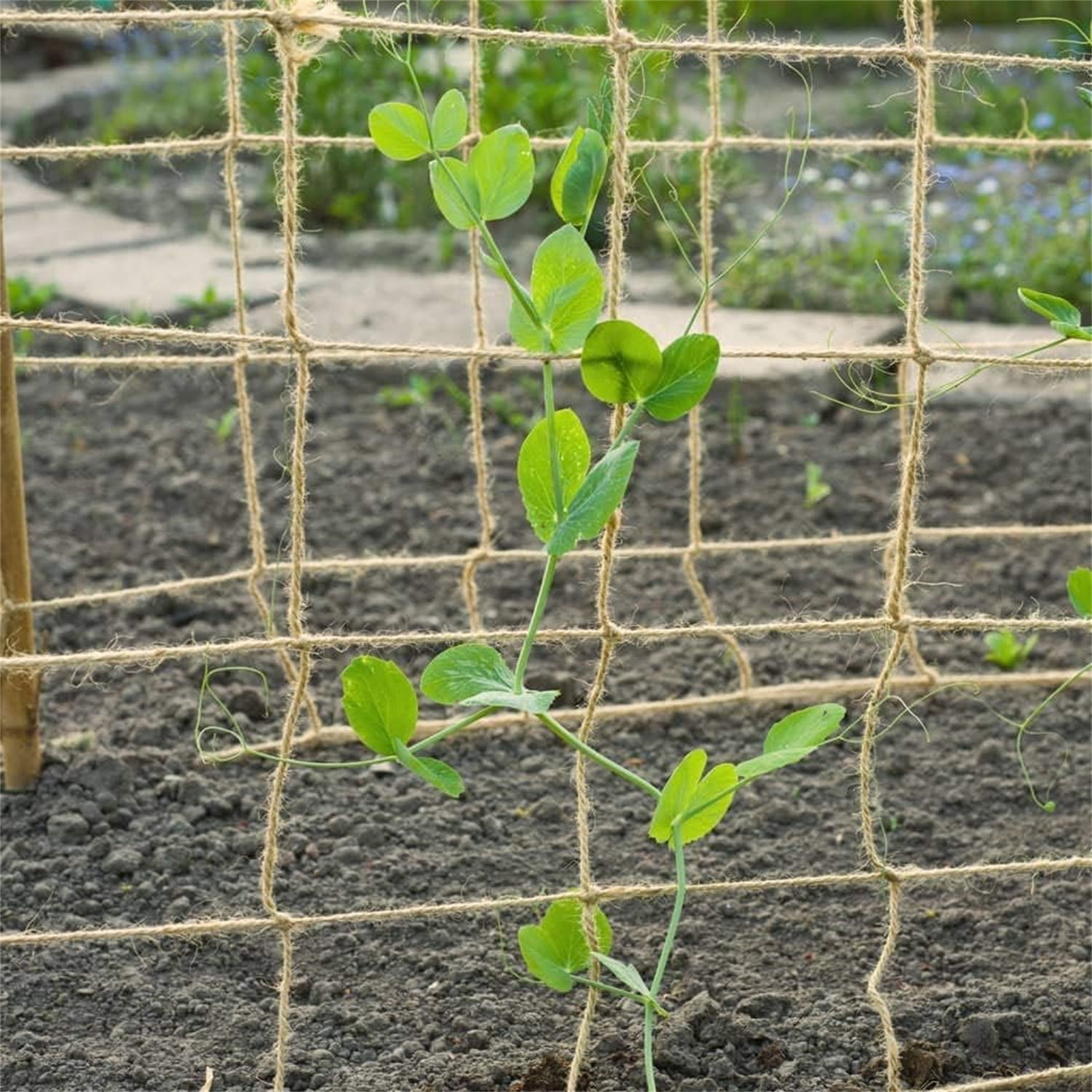 Natural Jute Net for Climbing Plants Outdoor -Bexikou Garden Plant Trellis Netting,Garden Trellis for Garden Climbing Vining Plants Cucumber,Vine, Fruits & Vegetables Tomato(5.9 Ft x 11.5 Ft)