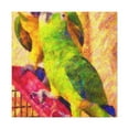 thumbnail image 1 of Senegal Parrots Vibrance - Canvas, 1 of 10