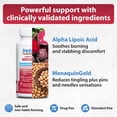 thumbnail image 6 of Instaflex® Clinical Strength Nerve Relief, Reduce Nerve Discomfort with Alpha Lipoic Acid, Vitamin B6, Vitamin B12, and Vitamin K2, 60 Vegan Capsules, 6 of 12