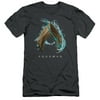 Aquaman Movie Water Shield S/S Adult 30/1 T-Shirt Charcoal
