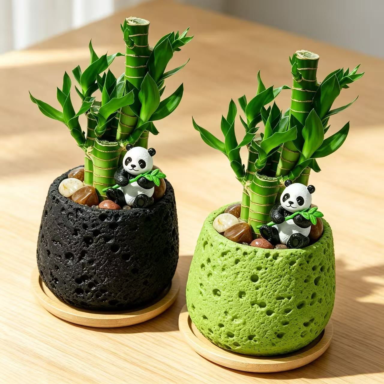 Lucky Bamboo Decor 2-Pack – Feng Shui Indoor Desk Plant Arrangement with Ceramic Pot, Good Luck & Wealth Home Office Accent