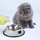 thumbnail image 3 of Byepica 2 Cuencos para Mascotas de Acero Inoxidable Antideslizante Lindo Cuenco para Perros Cuenco para Gatos con 2 Cucharadas de Comida, 3 of 8
