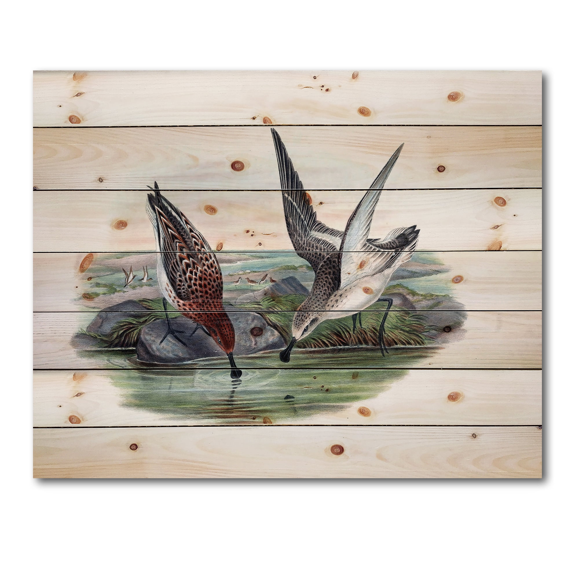 Designart 'Vintage Countryside Two Birds In Lake' Farmhouse Print on Natural Pine Wood