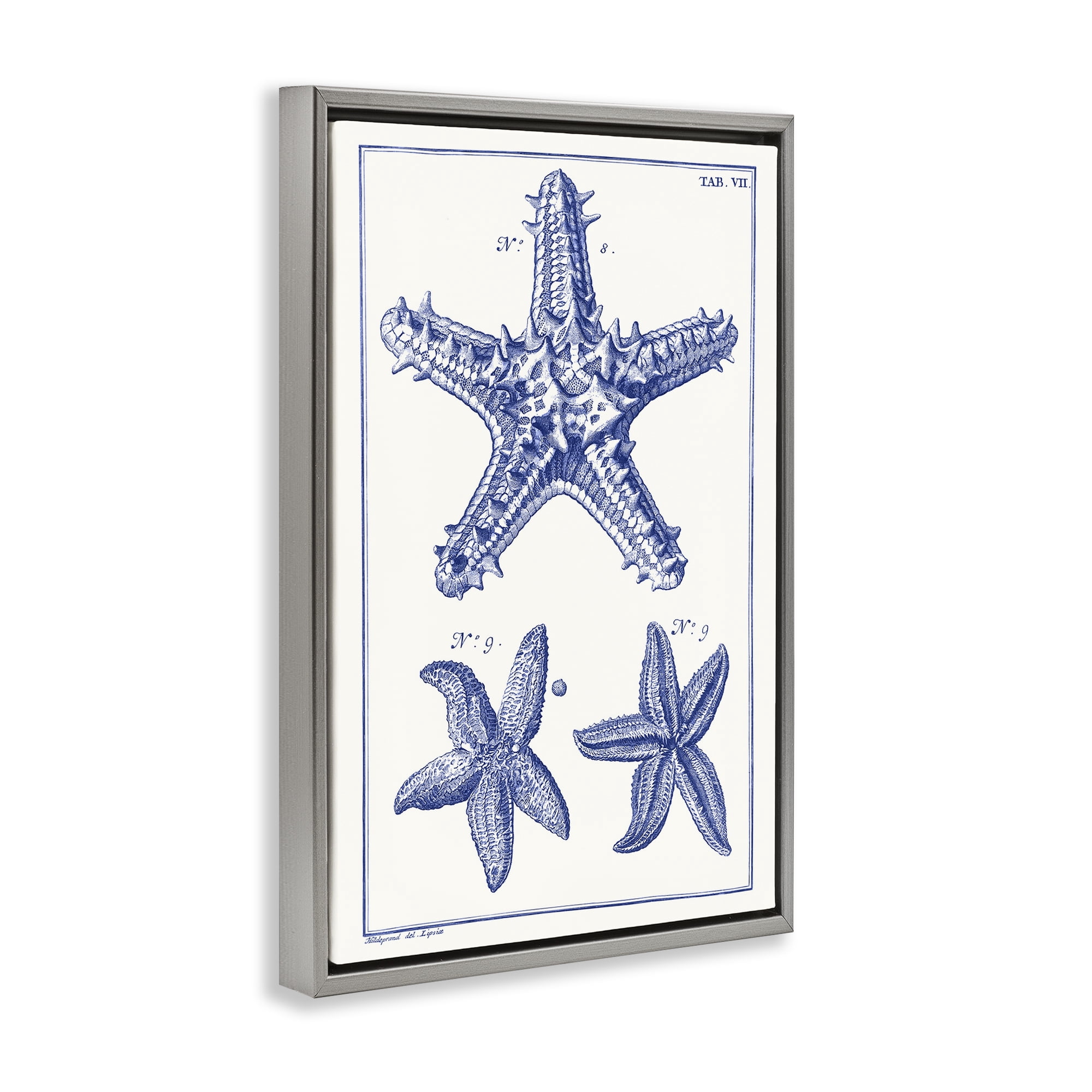 Stupell Industries Blue Starfish Diagrams Animals & Insects Painting Gray Floater Framed Canvas Art Print Wall Art, 21 x 31
