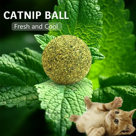 Natural Cat Toys 5PCS Catnip Ball Toy Cat Mint Ball Natural Catnip Cleaning Playing Chew Claw Toy Pet Supplies ()