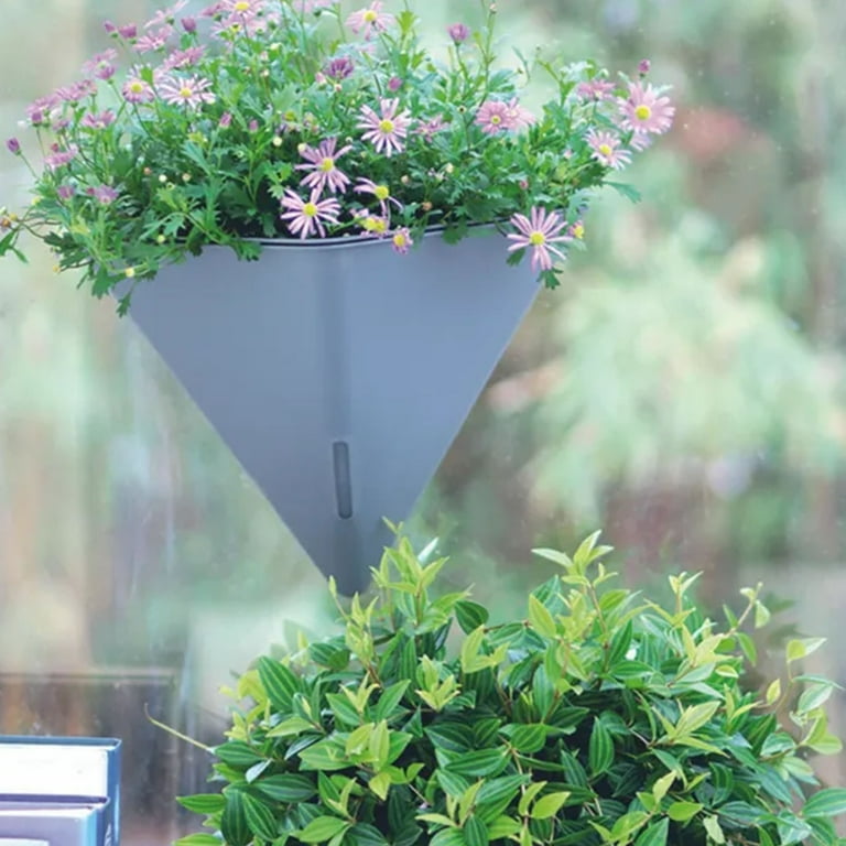 terrarium for plants for sale Drop Shape Micro Landscape Terrarium with LED Grow Light