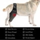 thumbnail image 4 of Dog Recovery Sleeve Front Rear Leg Support Brace For Injury Sprain Relieve Pain, 4 of 5