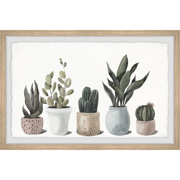 Parvez Taj Ultimate Succulent Collection Framed Painting Print