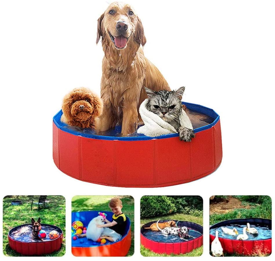 large dog ball pit