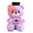 thumbnail image 2 of Hogarize Graduation Bear Gift Class of 2025 Plush Toy with Cap T-shirt for College High School Student Graduation Celebration Commemorative Gift for Him Her, 2 of 6