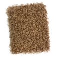 thumbnail image 6 of Sharprepublic Curly Fabric 16.9x14.9 inch Faux Fur Cloth for DIY Crafts Blanket Upholstery Camel, 6 of 8