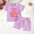 thumbnail image 2 of Faraee Baby Girl First Birthday Outfit In My One Year Old Era Top Short Sleeve 1st Birthday Shirt and Casual Shorts Clothing Set 6 12 18 Months Light Purple, 2 of 8