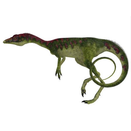 small dinosaur compsognathus