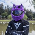 thumbnail image 2 of HAHDAXIA Motorcycle Helmet Cover Crazy Fun Motorcycle Helmet Cover Easy to Install Dust Cap for Motorcycle Helmet Fun Rides and Gifts（Helmet not Included, 2 of 6