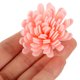 thumbnail image 5 of unbranded 100Ud Difusores De Flor Para Esenciales Ambientador Natural Para Hogar Y Oficina, 5 of 6