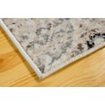 thumbnail image 4 of L Baiet RS222E23 Meghan Transitional Rug, Beige - 2 x 3 ft., 4 of 5