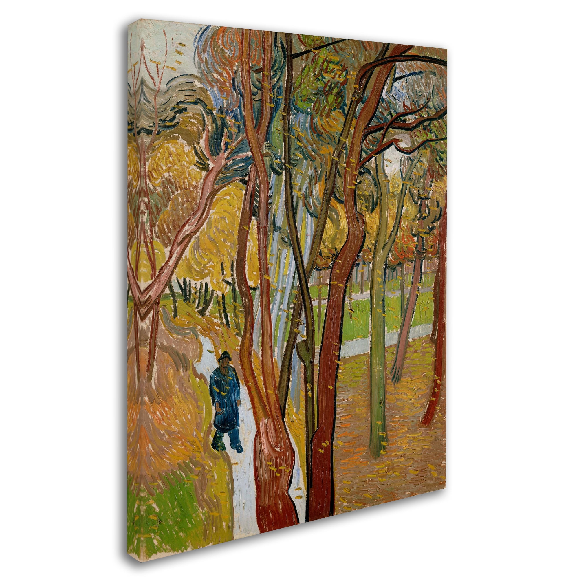Van Gogh 'The Garden Of Saint Pauls Hospital' Canvas Art
