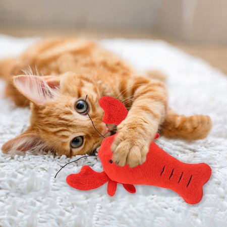 2 Pieces Homard Chien Jouets Interactif Animal Grincant Jouet En Peluche Chat Jouet Chiot A Macher Jouet Walmart Canada