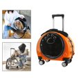 thumbnail image 3 of Transportín rígido para gatos Sunnimix Caja de la carretilla, 3 of 7