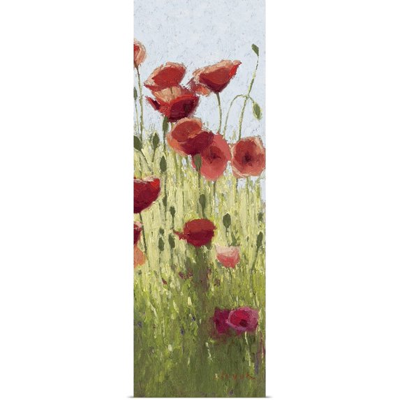 Great BIG Canvas | Rolled Shirley Novak Poster Print entitled Mountain Poppies I