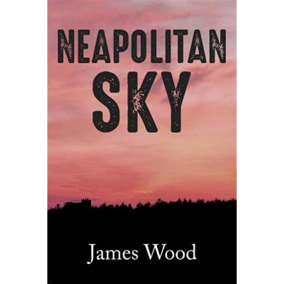 Pre-Owned Neapolitan Sky Paperback