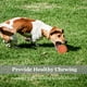 thumbnail image 4 of Pelota de juguete para perros LECHONG Squeaky Spiky para limpieza de dientes, paquete de 6, 4 of 8