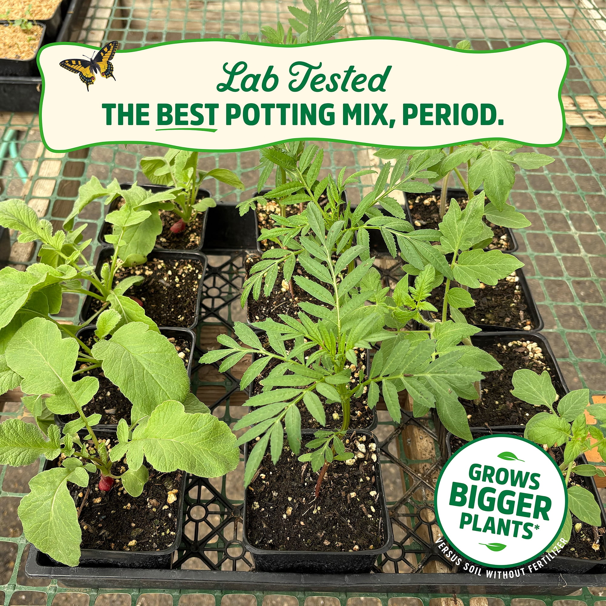 Back to the Roots Organic Master Potting Soil Mix, 12 Quarts