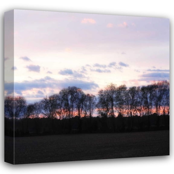 Alan Hausenflock 20x20 Gallery Wrapped Canvas Wall Art Titled - Winter Sunset Square I