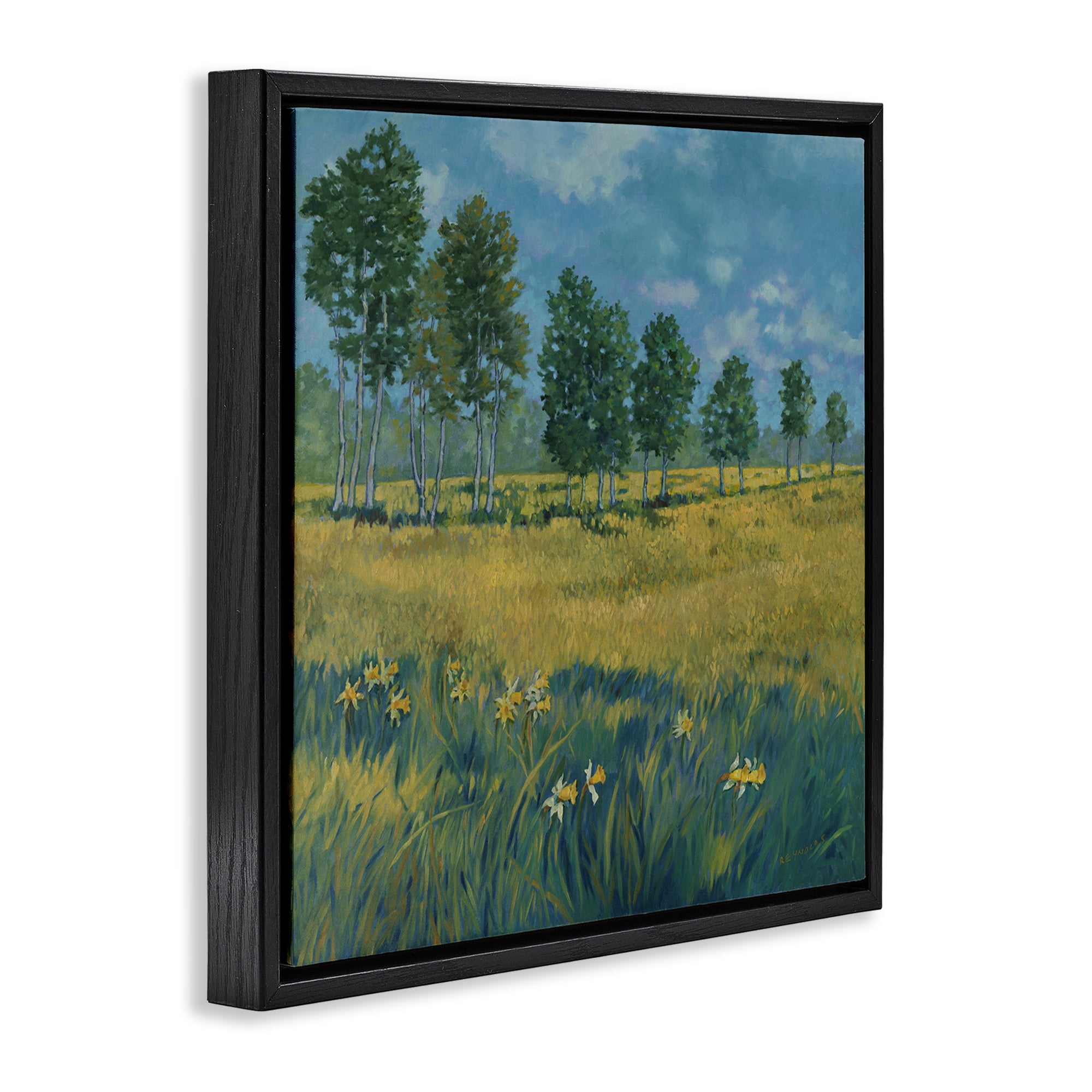 Stupell Industries Daffodil Field Landscape Landscape & Nature Painting Black Floater Framed Canvas Art Print Wall Art, 18 x 18