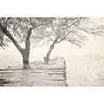 thumbnail image 3 of Allen, Kimberly 18x13 Black Modern Framed Museum Art Print Titled - Tree Pier, 3 of 5